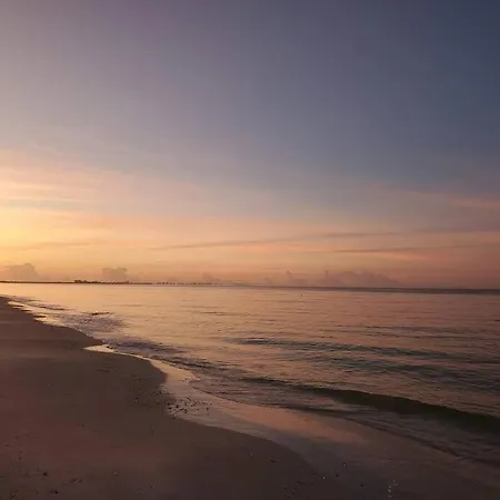 Dolphin Updated Cottage On River - 1 Mile To Beach Kitchen Washer Dryer Bonita Springs Extérieur photo